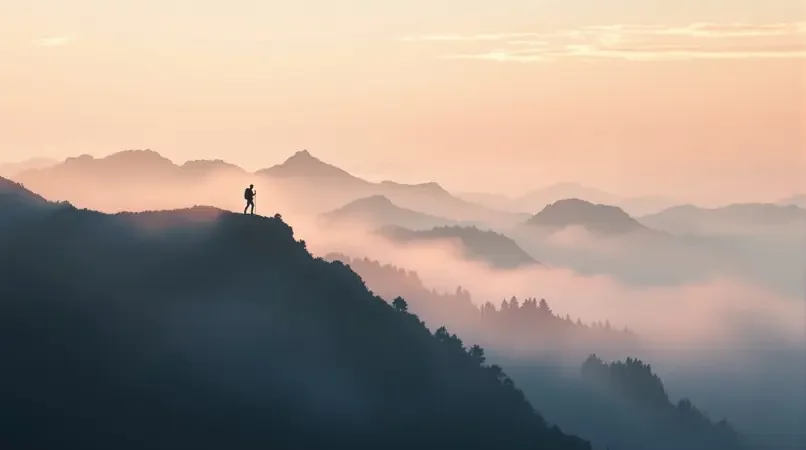 雾里看山 - 旅行封面